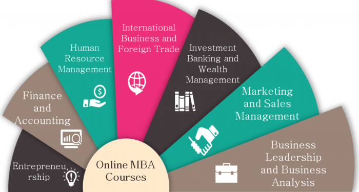Best online MBA programs - IbmsInstitute/OnlineEMBA/OnlineMBA/IBMS